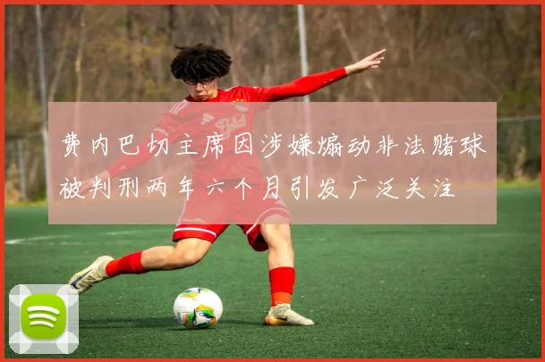 费内巴切主席因涉嫌煽动非法赌球被判刑两年六个月引发广泛关注